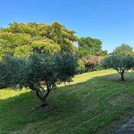 Studio Nimes נים
